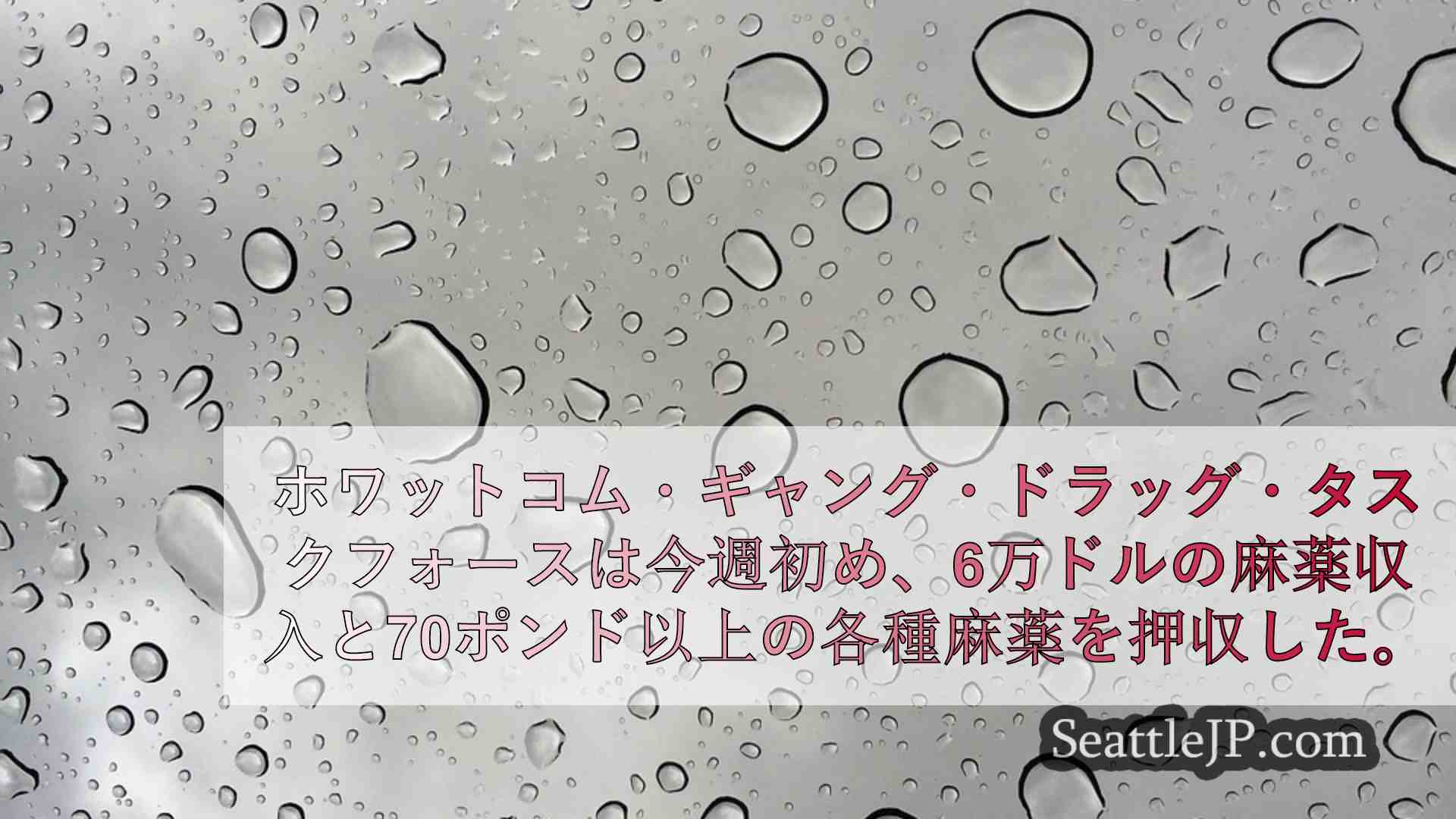 シアトルニュース SeattleJP