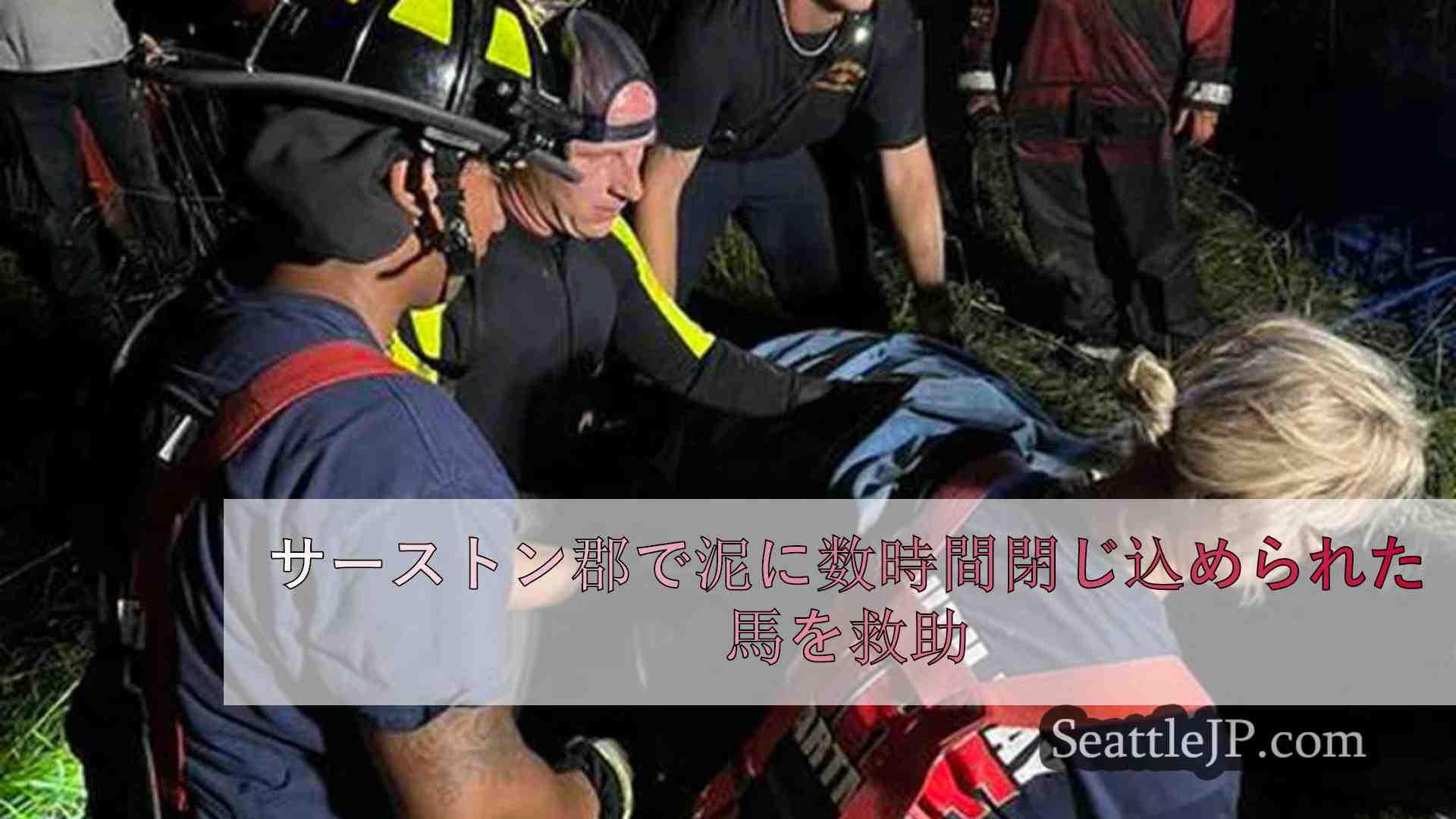 シアトルニュース SeattleJP