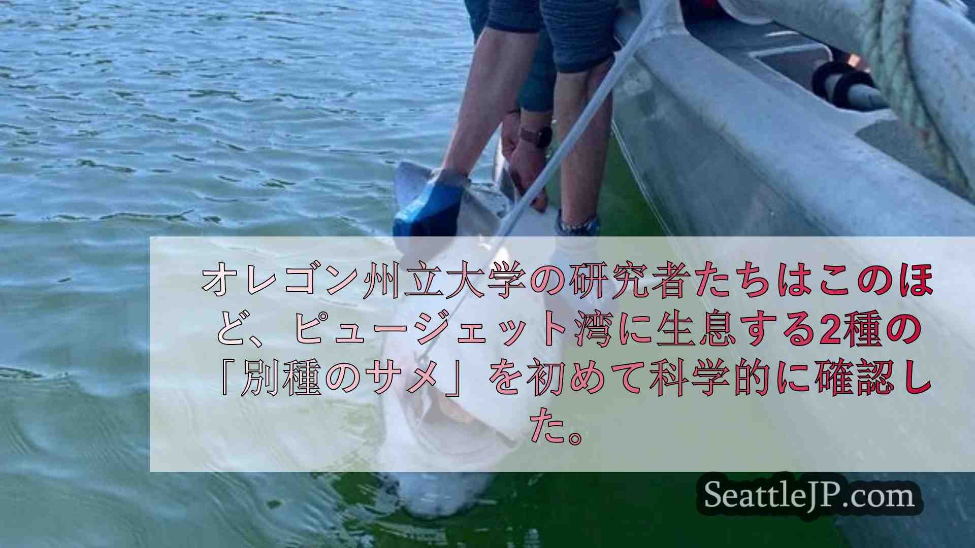 シアトルニュース SeattleJP