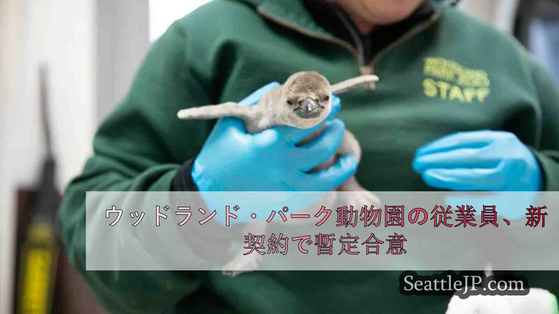 ウッドランド・パーク動物園の従業員、新契約で暫定合意