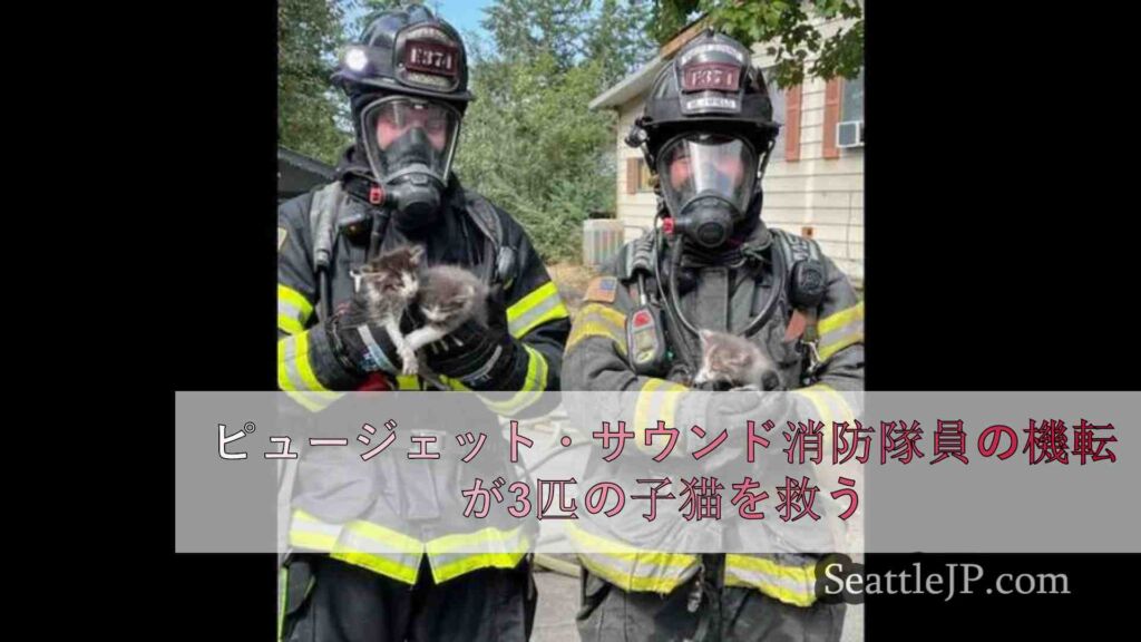 ピュージェット・サウンド消防隊員の機転が3匹の子猫を救う