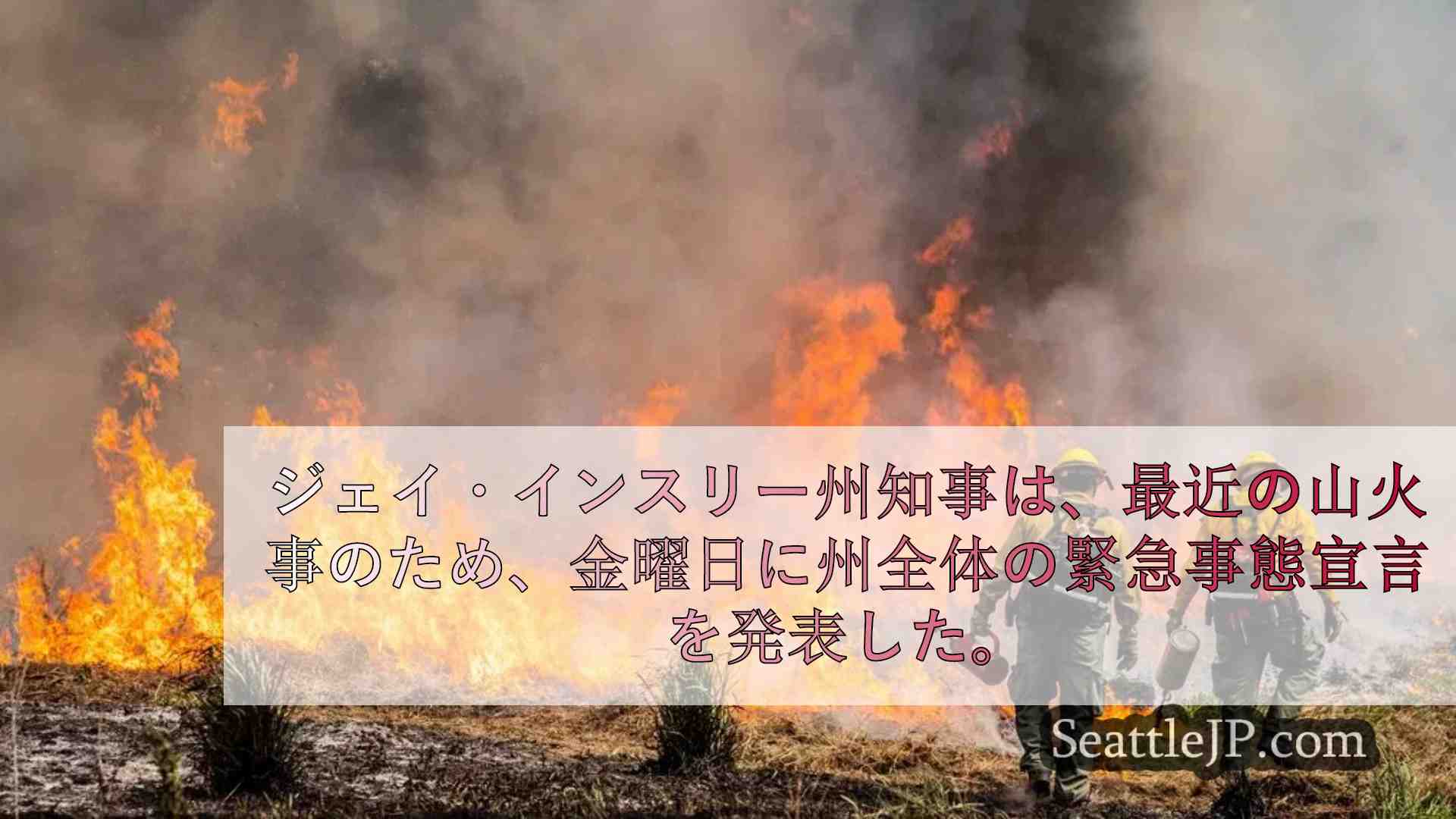 インスリー州知事、山火事による燃料不足で州全体の非常事態を宣言