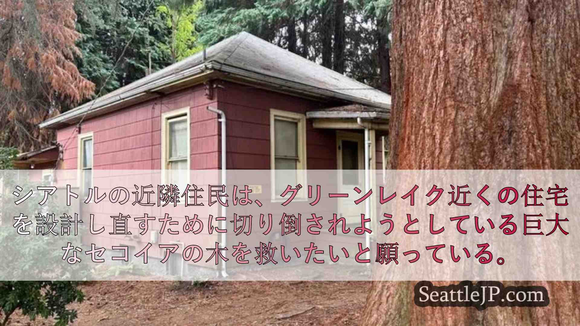 シアトルニュース SeattleJP