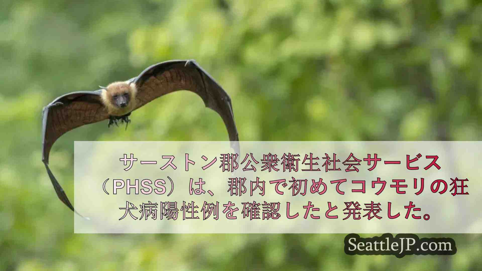サーストン郡、コウモリの狂犬病陽性例を確認