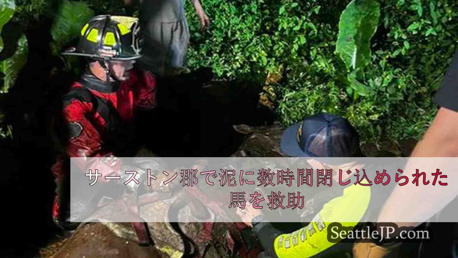 サーストン郡で泥に数時間閉じ込められた馬を救助