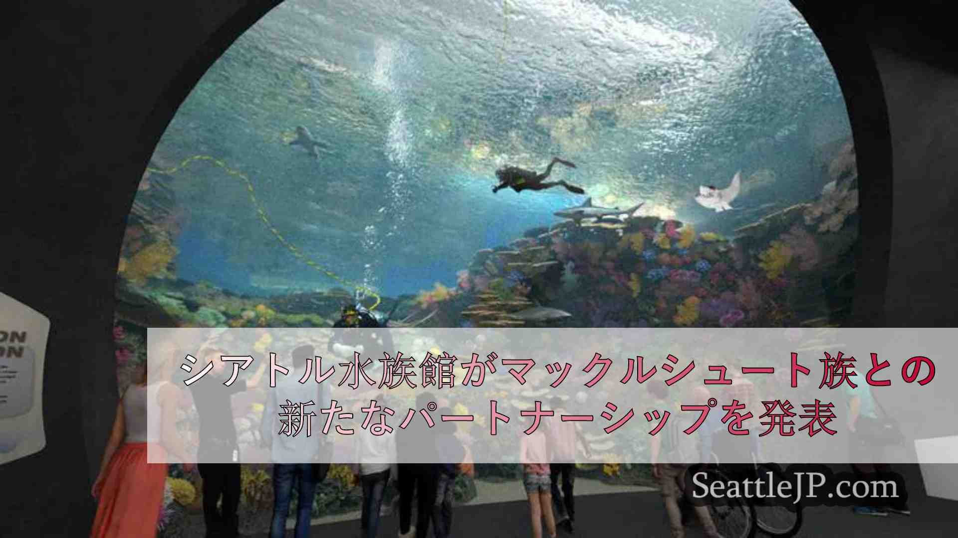 シアトル水族館がマックルシュート族との新たなパートナーシップを発表
