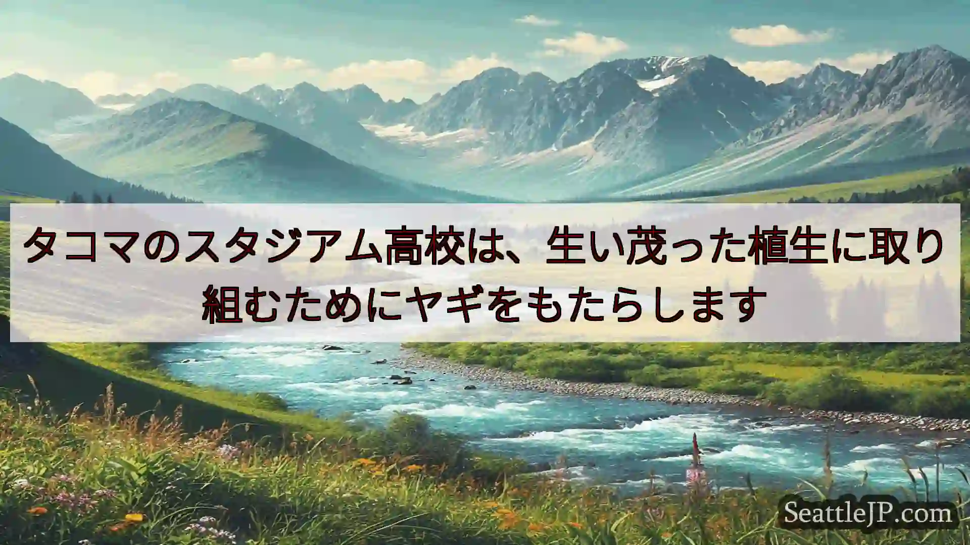 シアトルニュース タコマのスタジアム高校は、生い茂った植生に取り組むためにヤギをもたらし