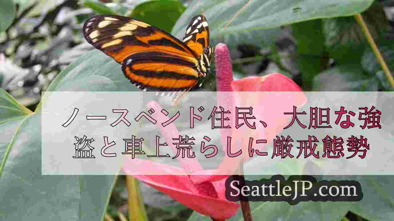 ノースベンド住民、大胆な強盗と車上荒らしに厳戒態勢