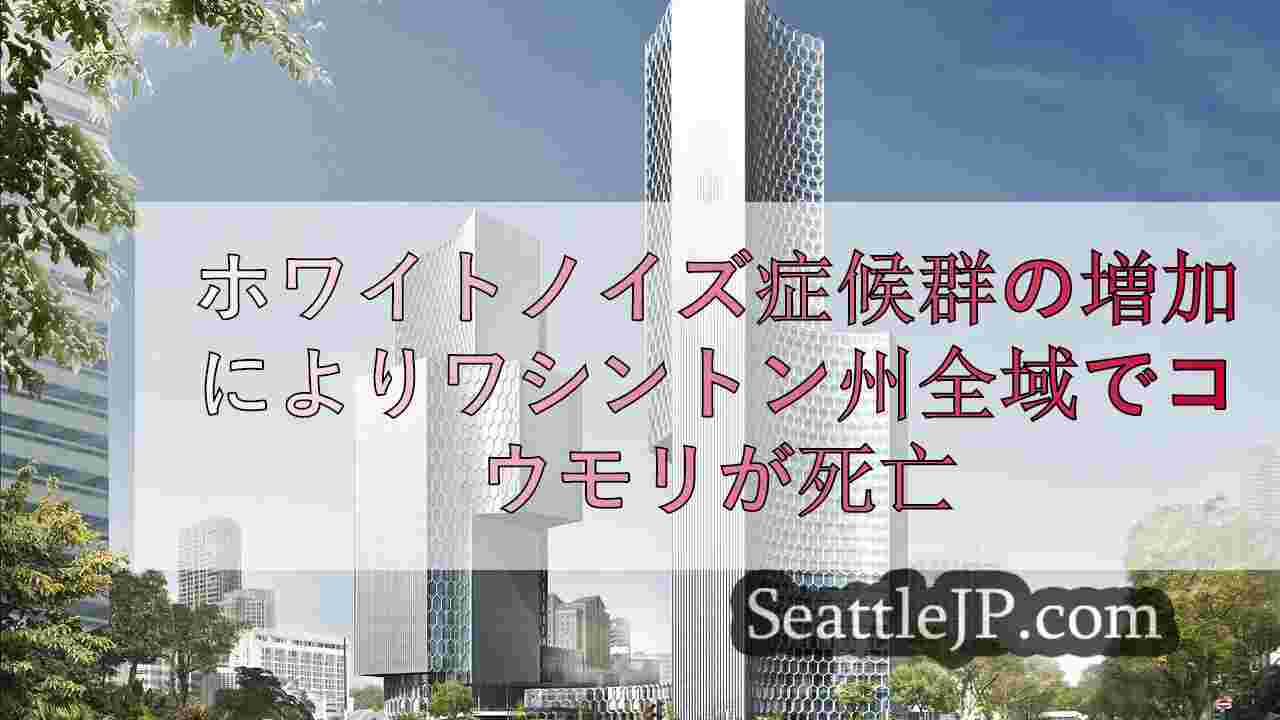 シアトルニュース SeattleJP