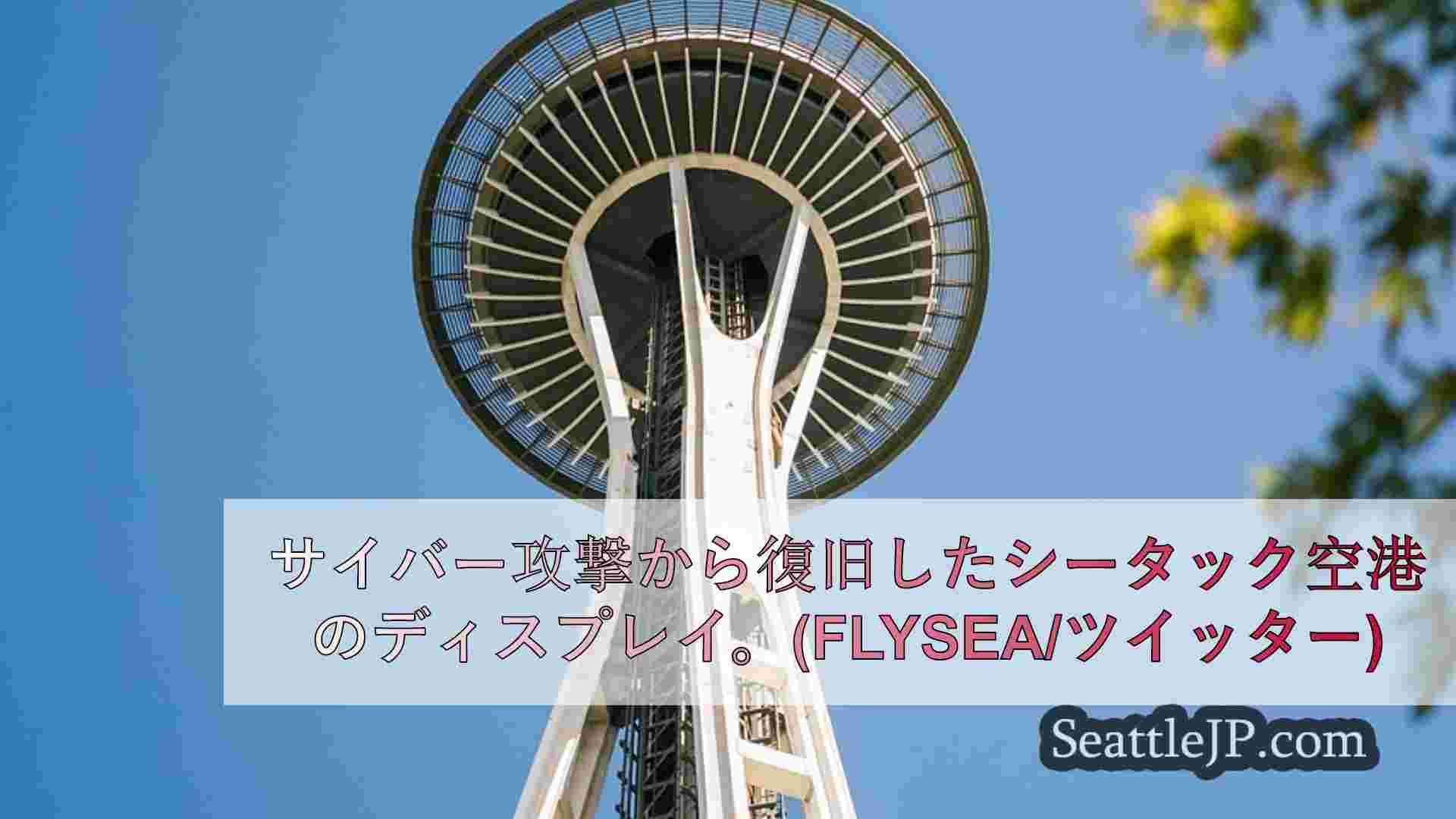 シータック空港の手荷物、フライト表示がサイバー攻撃後に復活