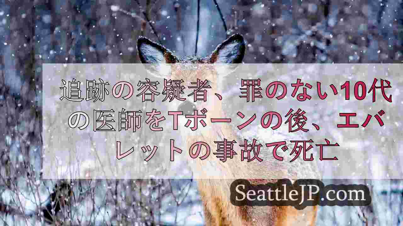 シアトルニュース SeattleJP