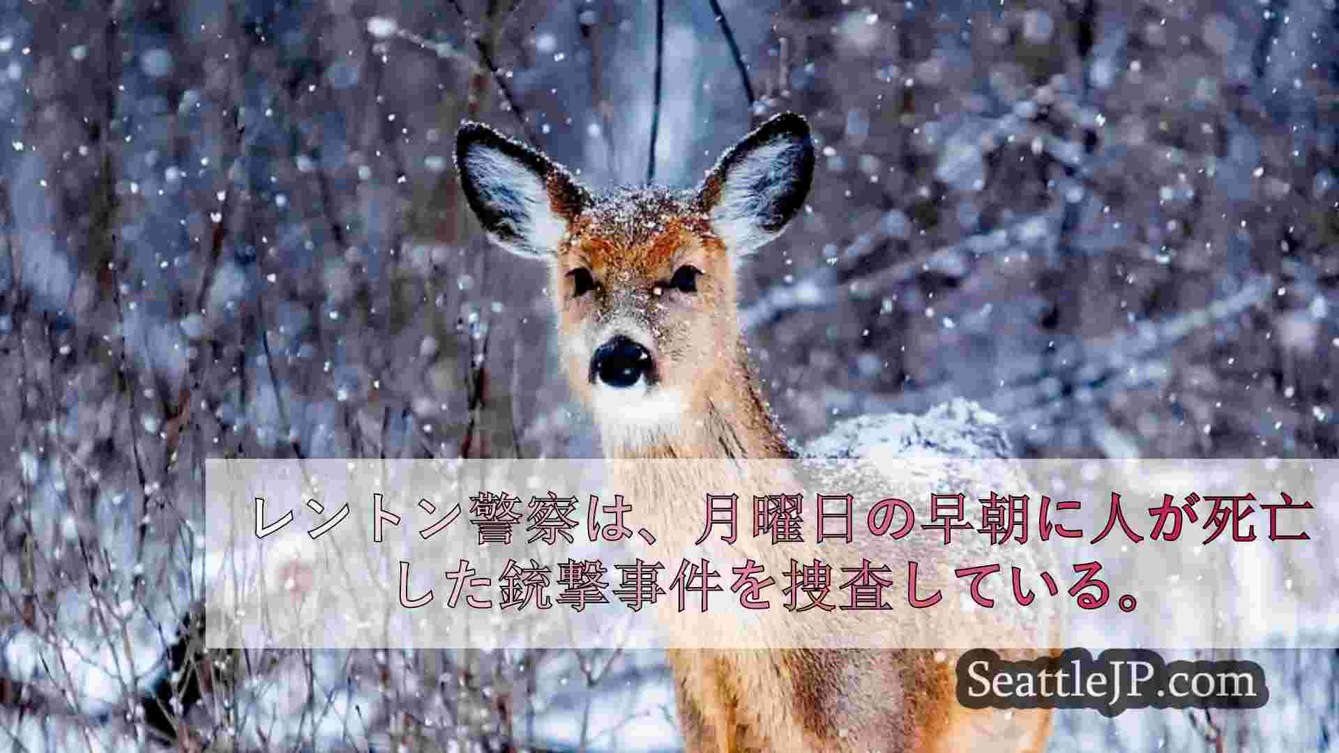 シアトルニュース SeattleJP