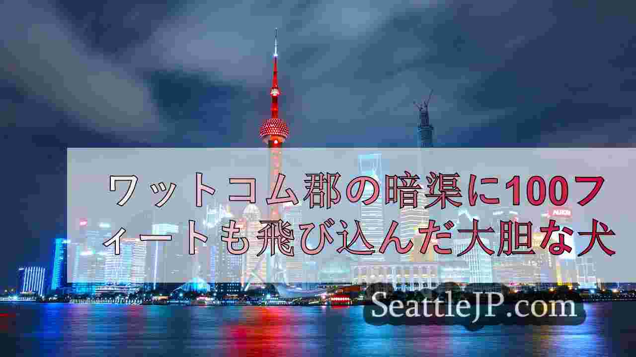 シアトルニュース SeattleJP