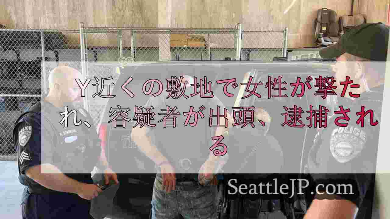 イエルム近郊の敷地で女性が撃たれ、容疑者が出頭、逮捕される