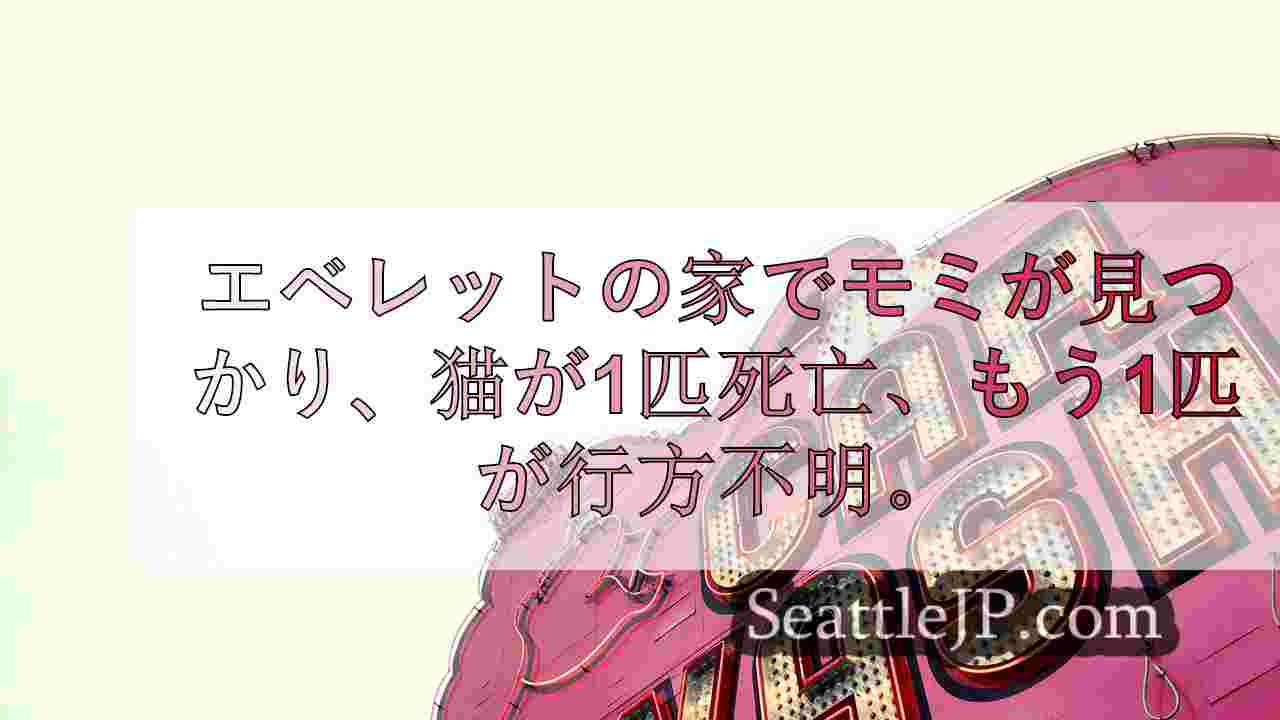 シアトルニュース SeattleJP