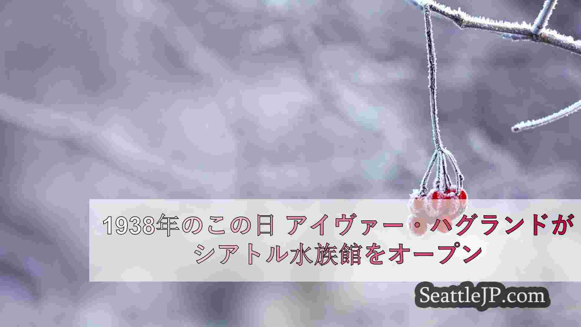 シアトルニュース SeattleJP