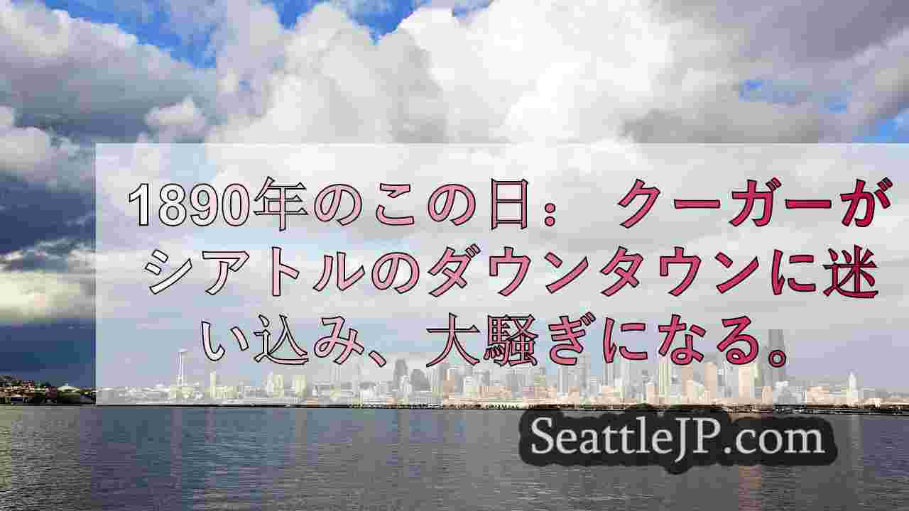 シアトルニュース SeattleJP