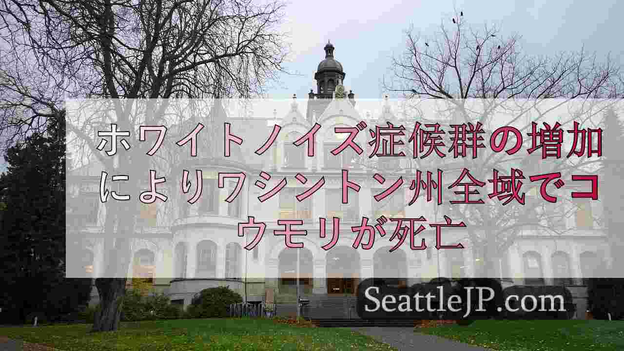 シアトルニュース SeattleJP