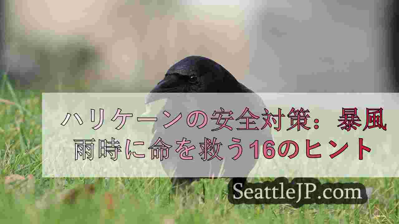 シアトルニュース SeattleJP