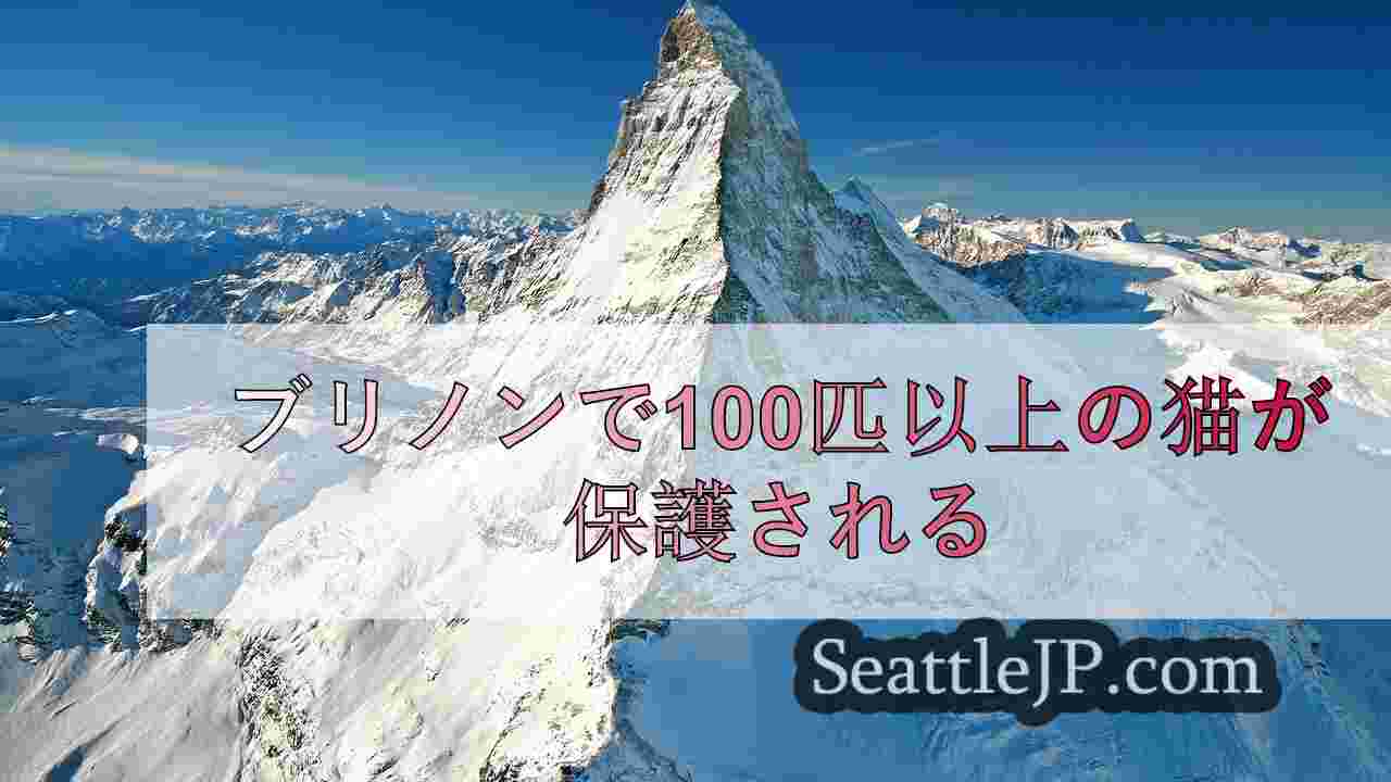 シアトルニュース SeattleJP