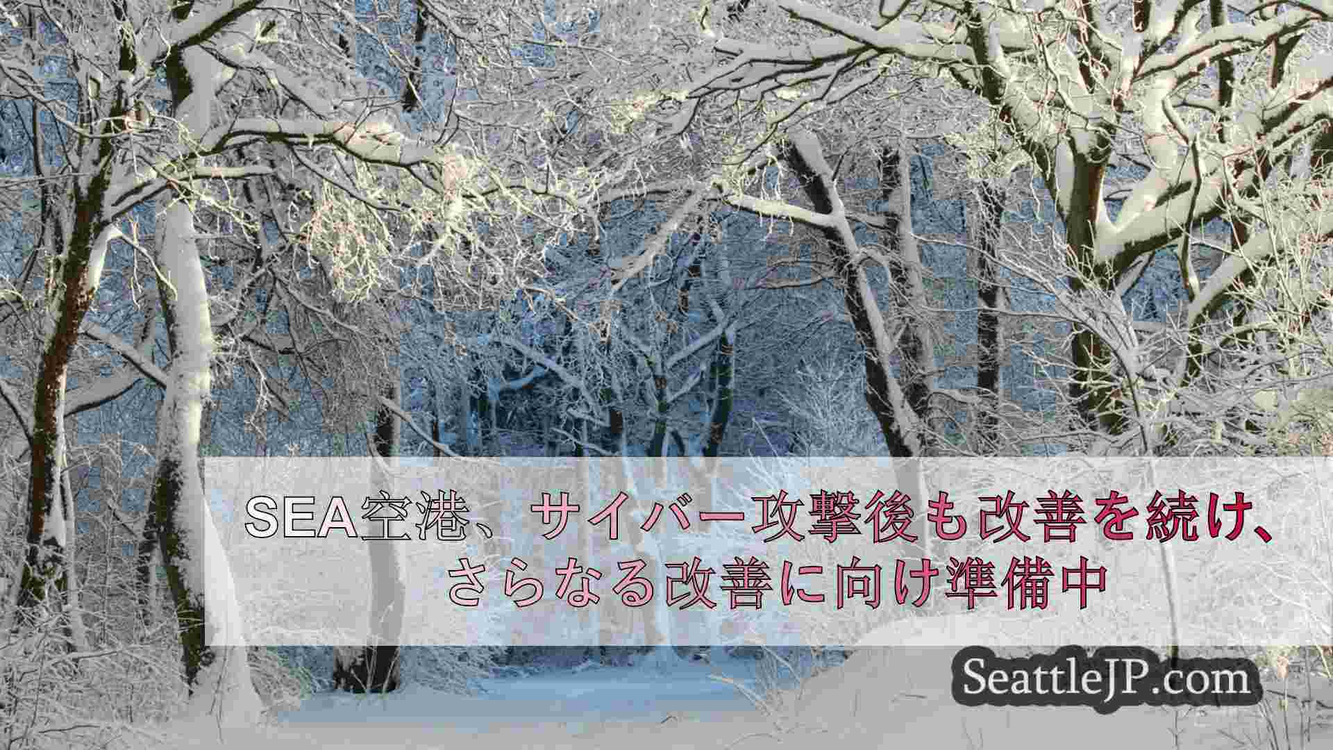 シアトルニュース SeattleJP