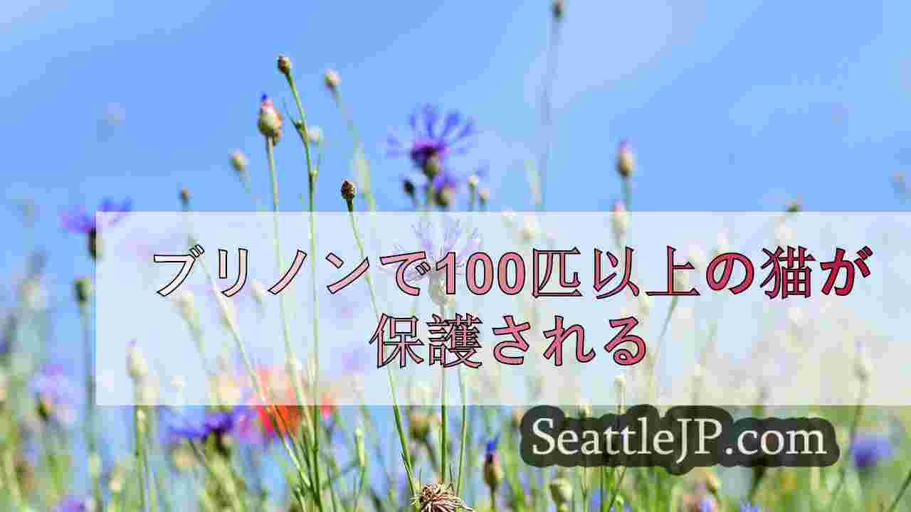シアトルニュース SeattleJP