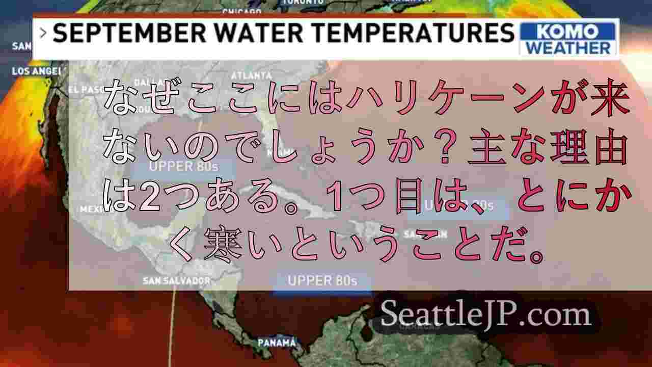 シアトルニュース SeattleJP