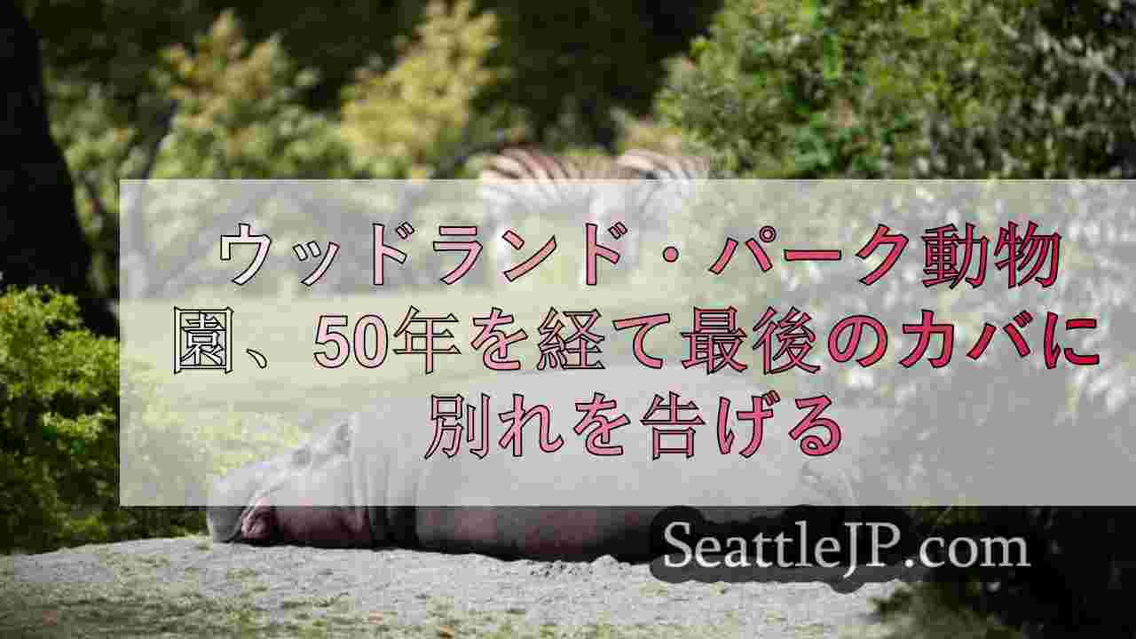 シアトルニュース SeattleJP