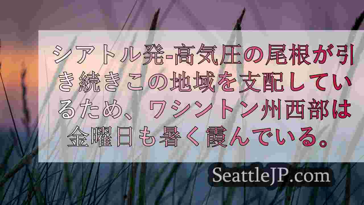 シアトルニュース SeattleJP