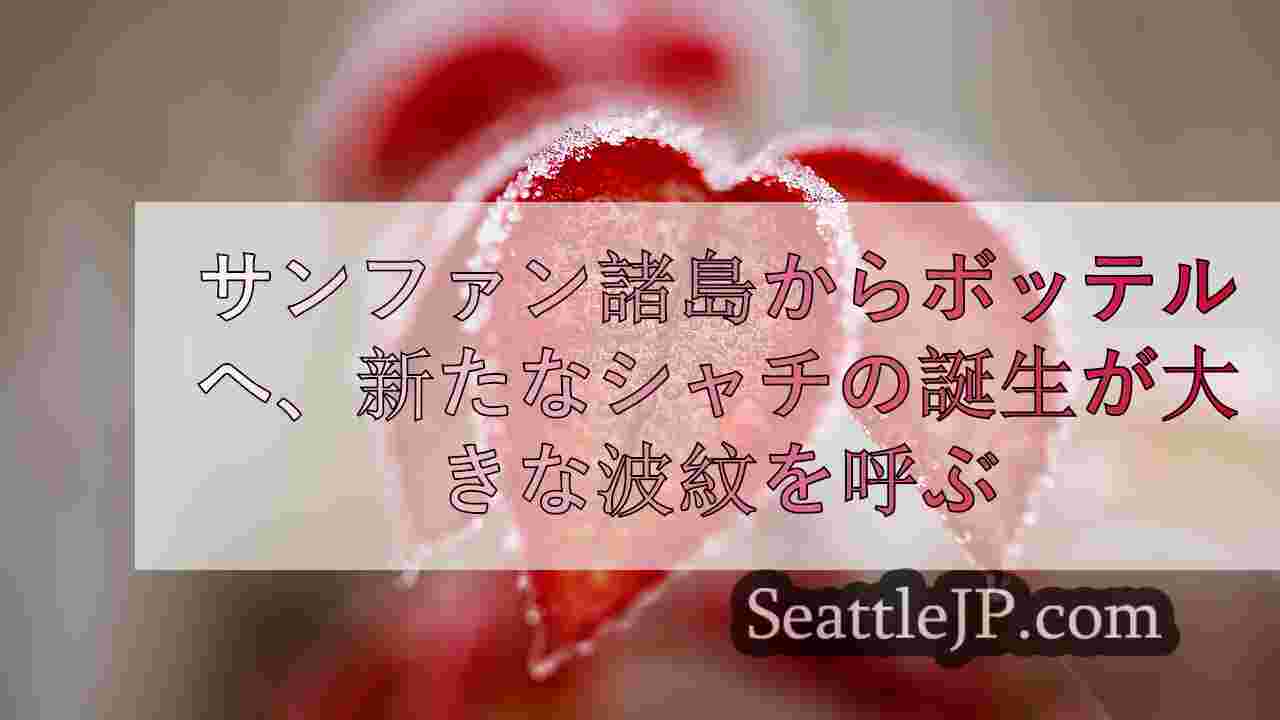 シアトルニュース SeattleJP