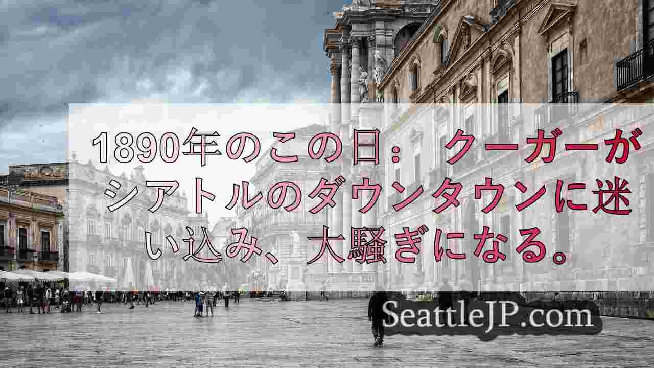 シアトルニュース SeattleJP