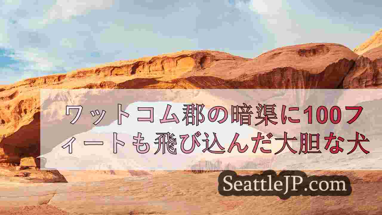 ホワットコム郡の暗渠に100フィート（約1.6メートル）飛び込んだ勇敢な犬、救助