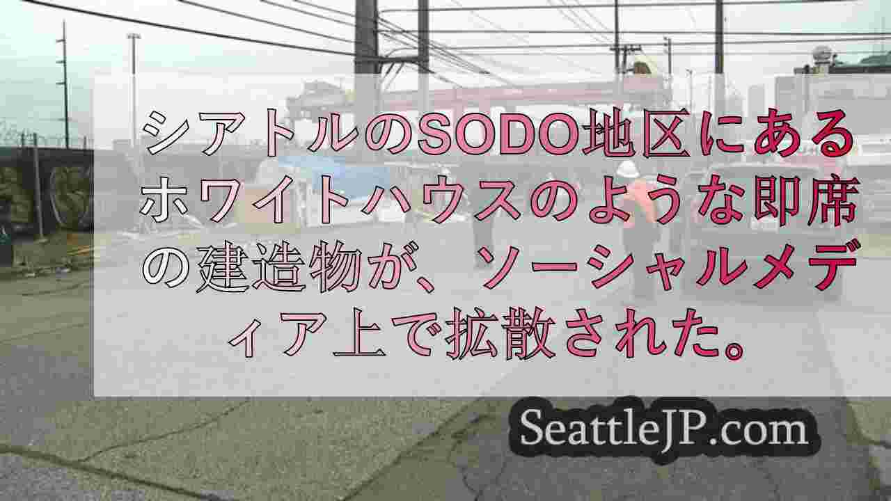 シアトルニュース SeattleJP