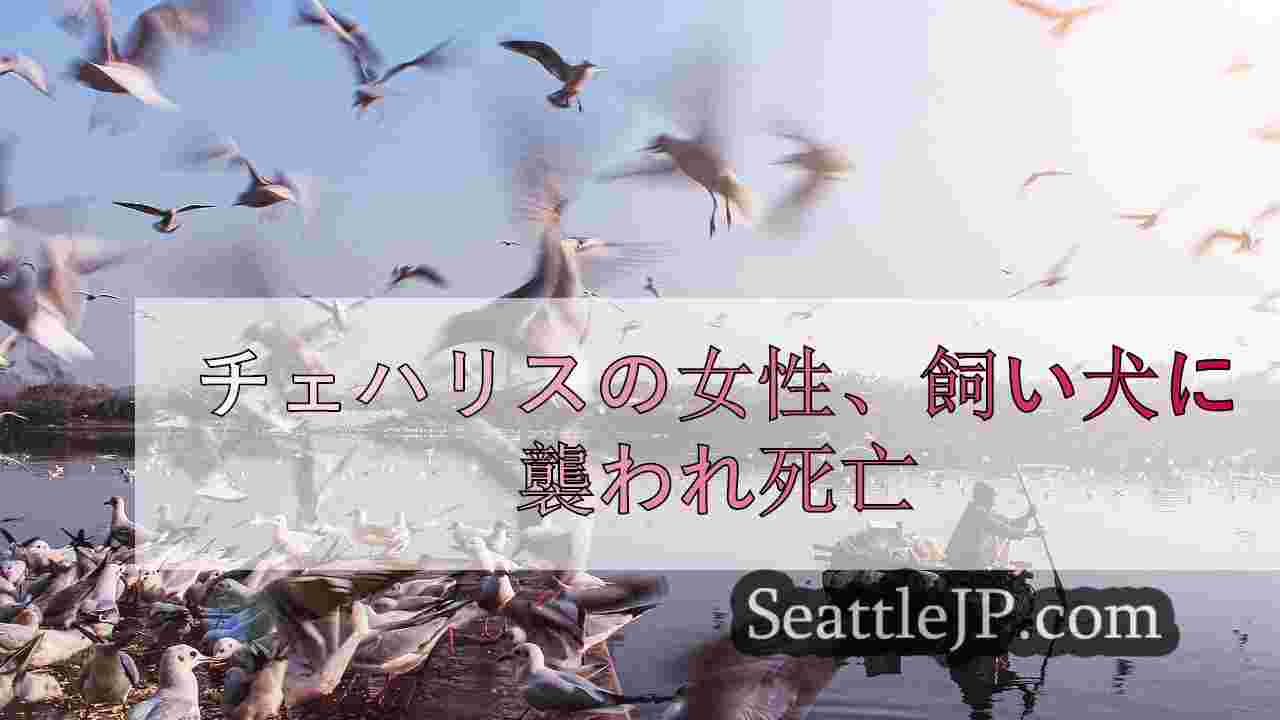 シアトルニュース SeattleJP