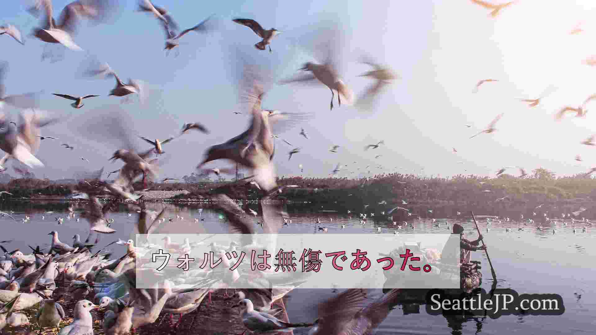 シアトルニュース SeattleJP