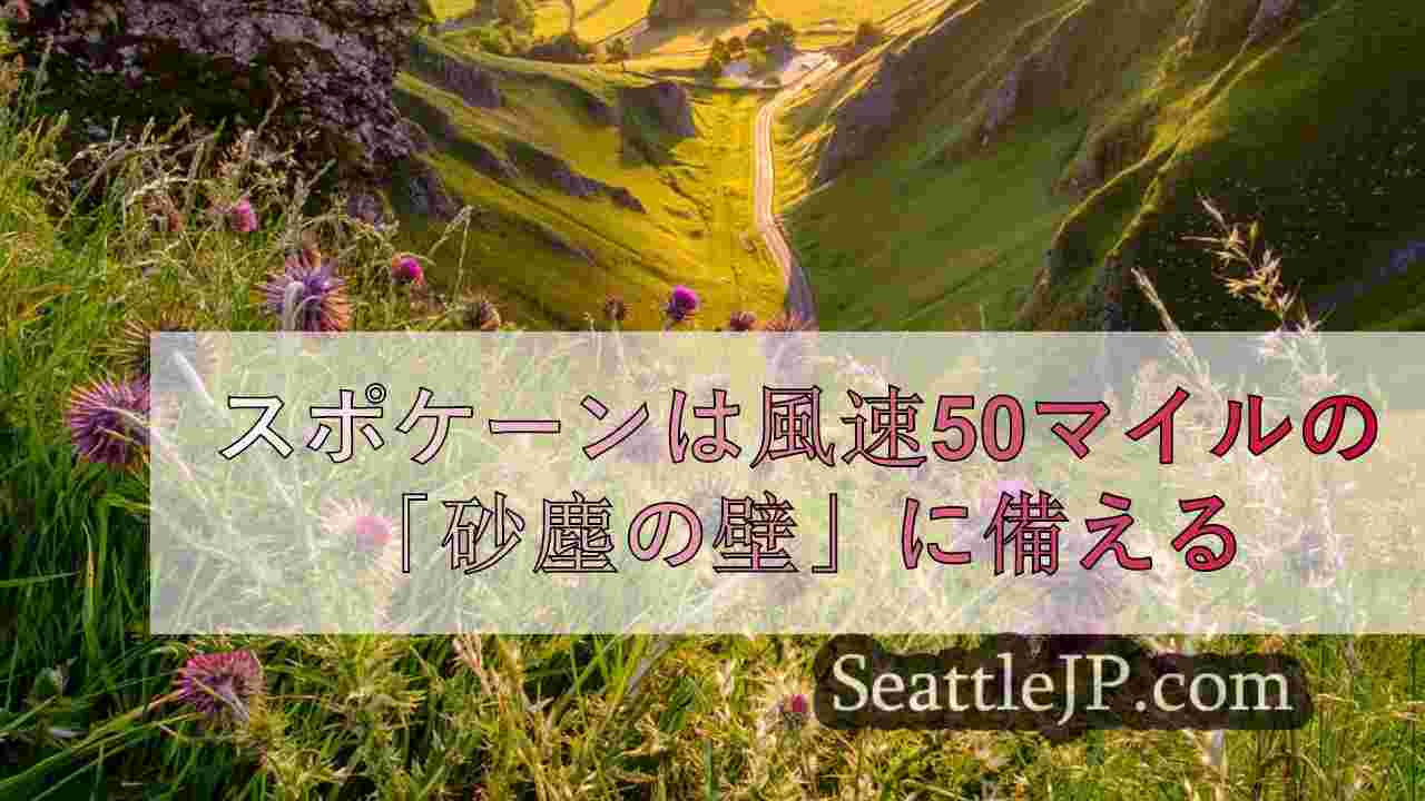 シアトルニュース SeattleJP