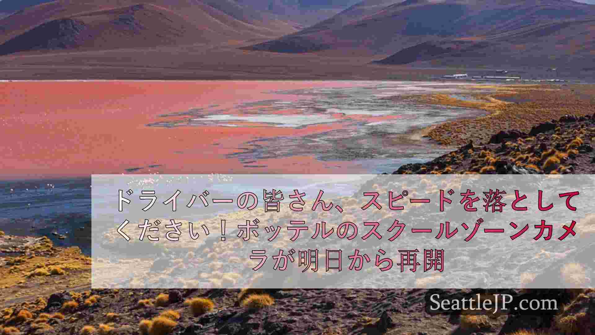 シアトルニュース SeattleJP