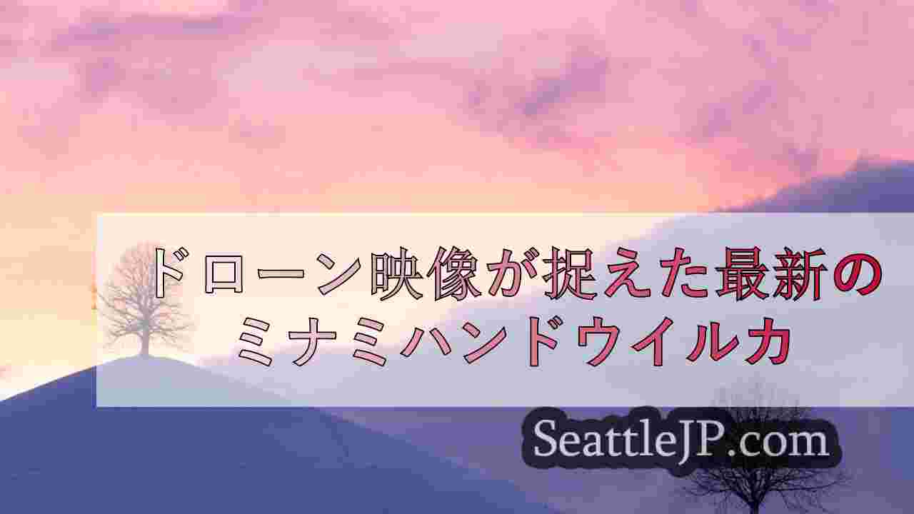 シアトルニュース SeattleJP