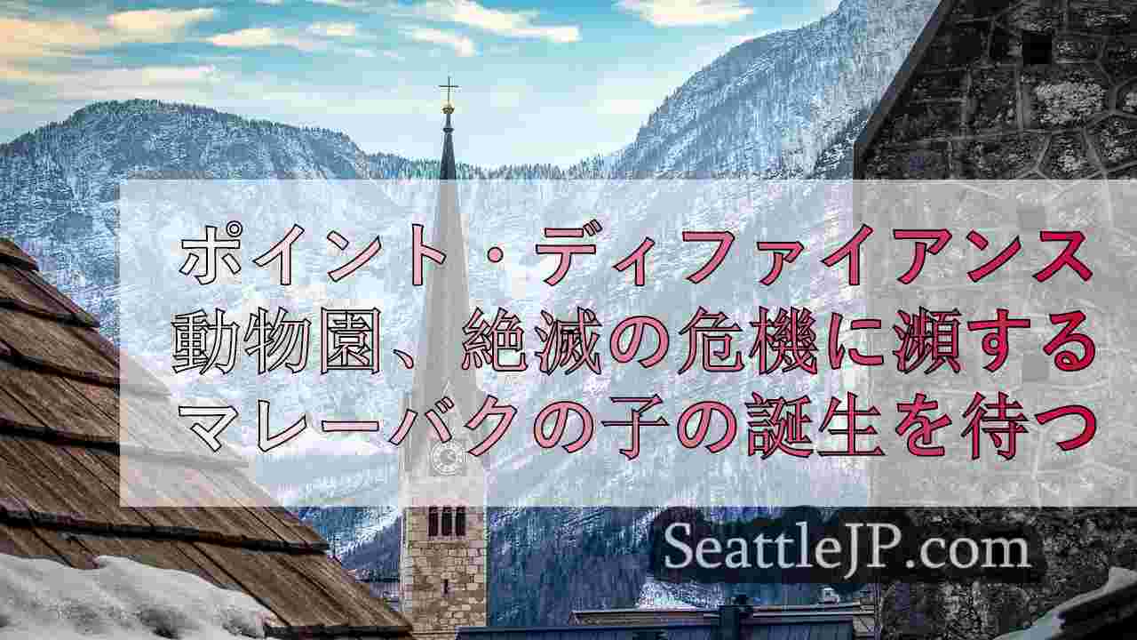 シアトルニュース SeattleJP