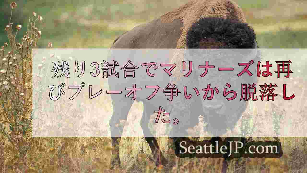 シアトルニュース SeattleJP