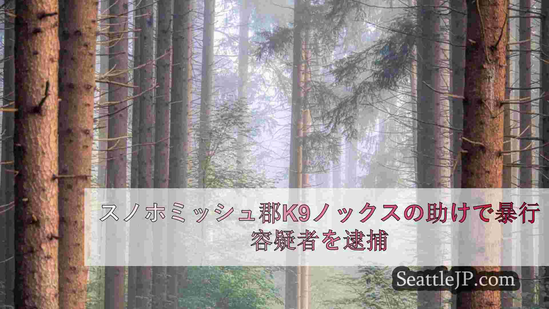 スノホミッシュ郡K9ノックスの助けで暴行容疑者を逮捕