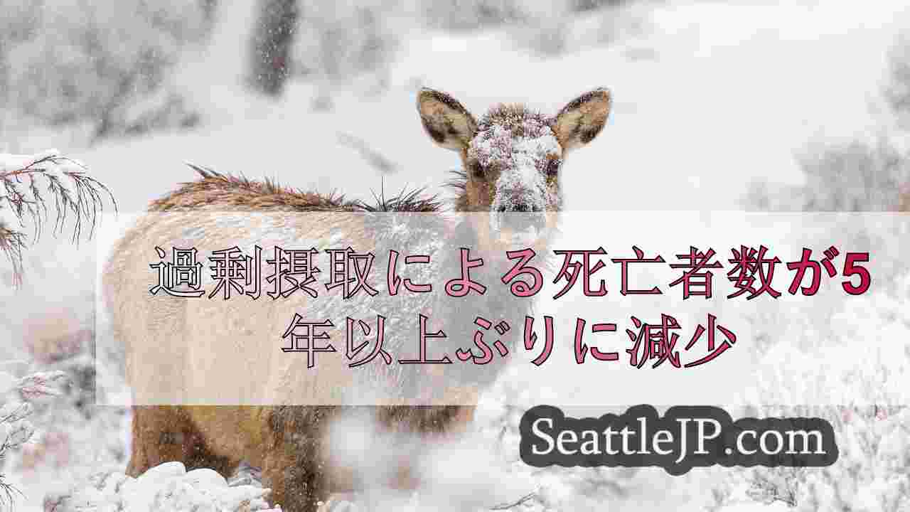 シアトルニュース SeattleJP