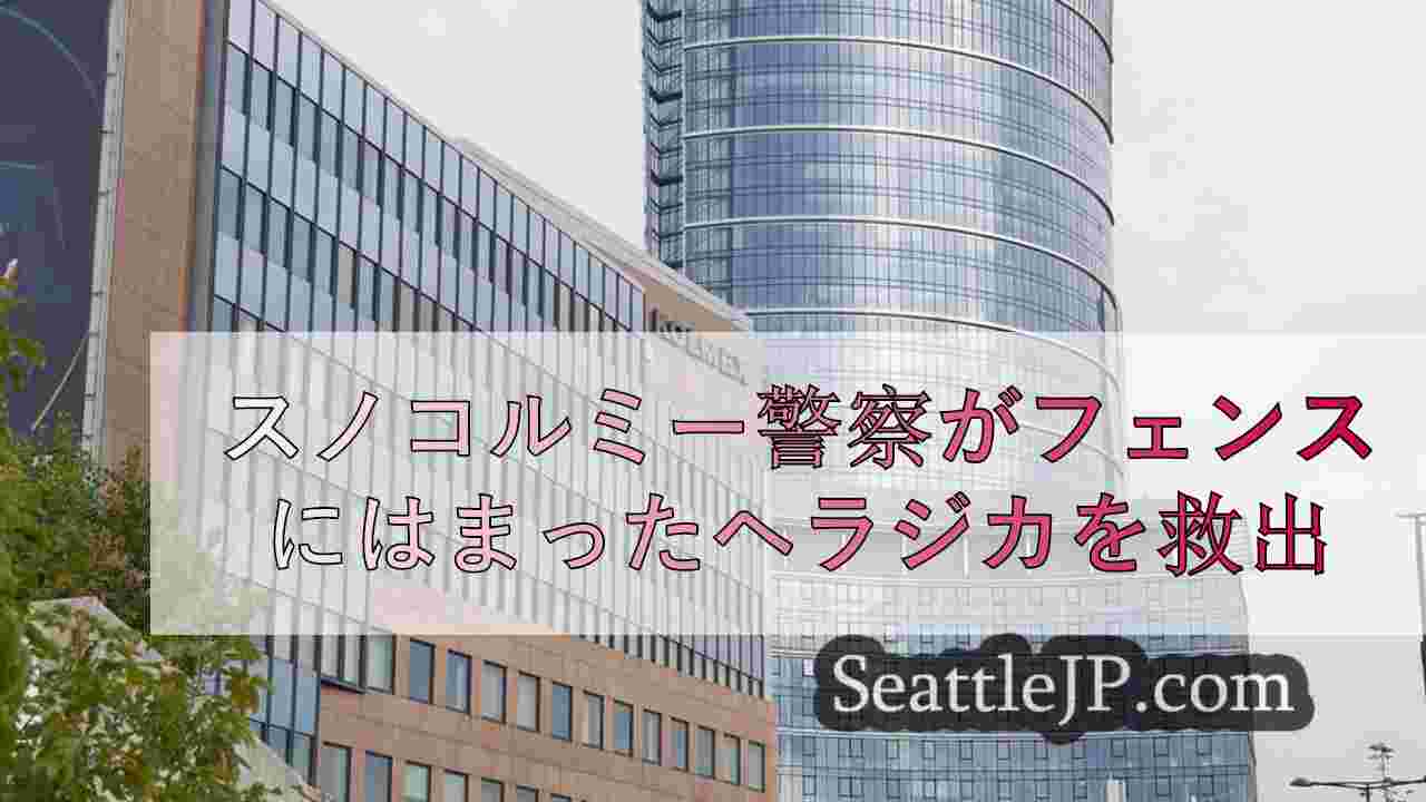 シアトルニュース SeattleJP