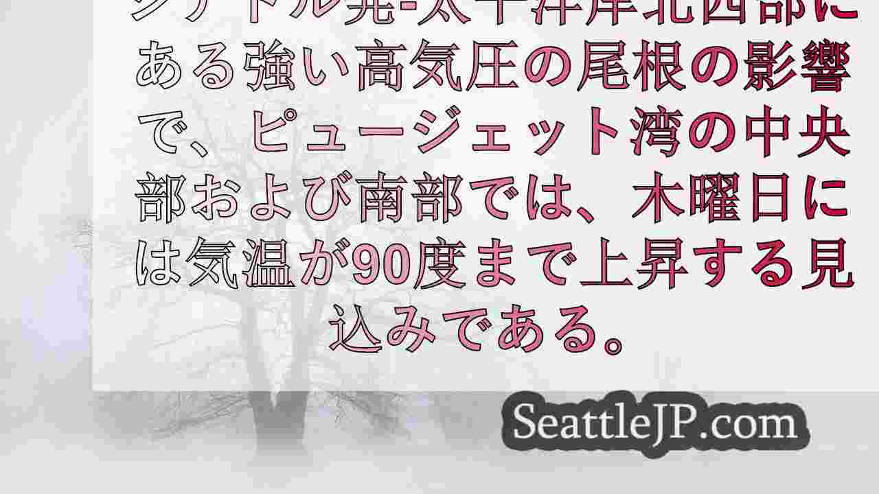 シアトルニュース SeattleJP