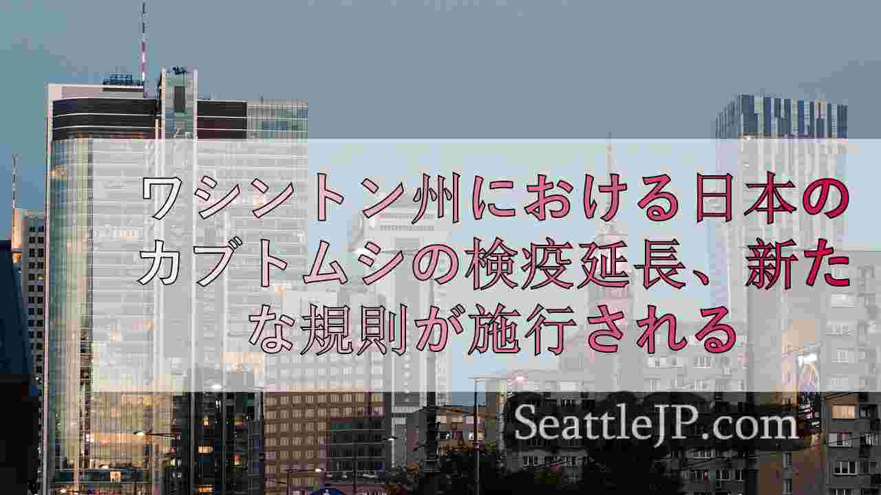 シアトルニュース SeattleJP