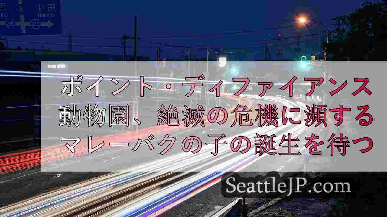 シアトルニュース SeattleJP