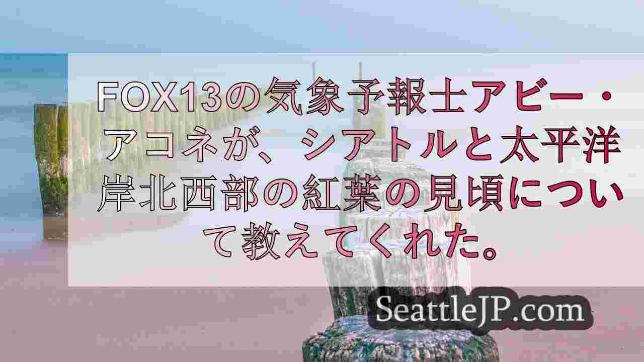 西オーストラリア州の紅葉がピークを迎える時期は以下の通り。