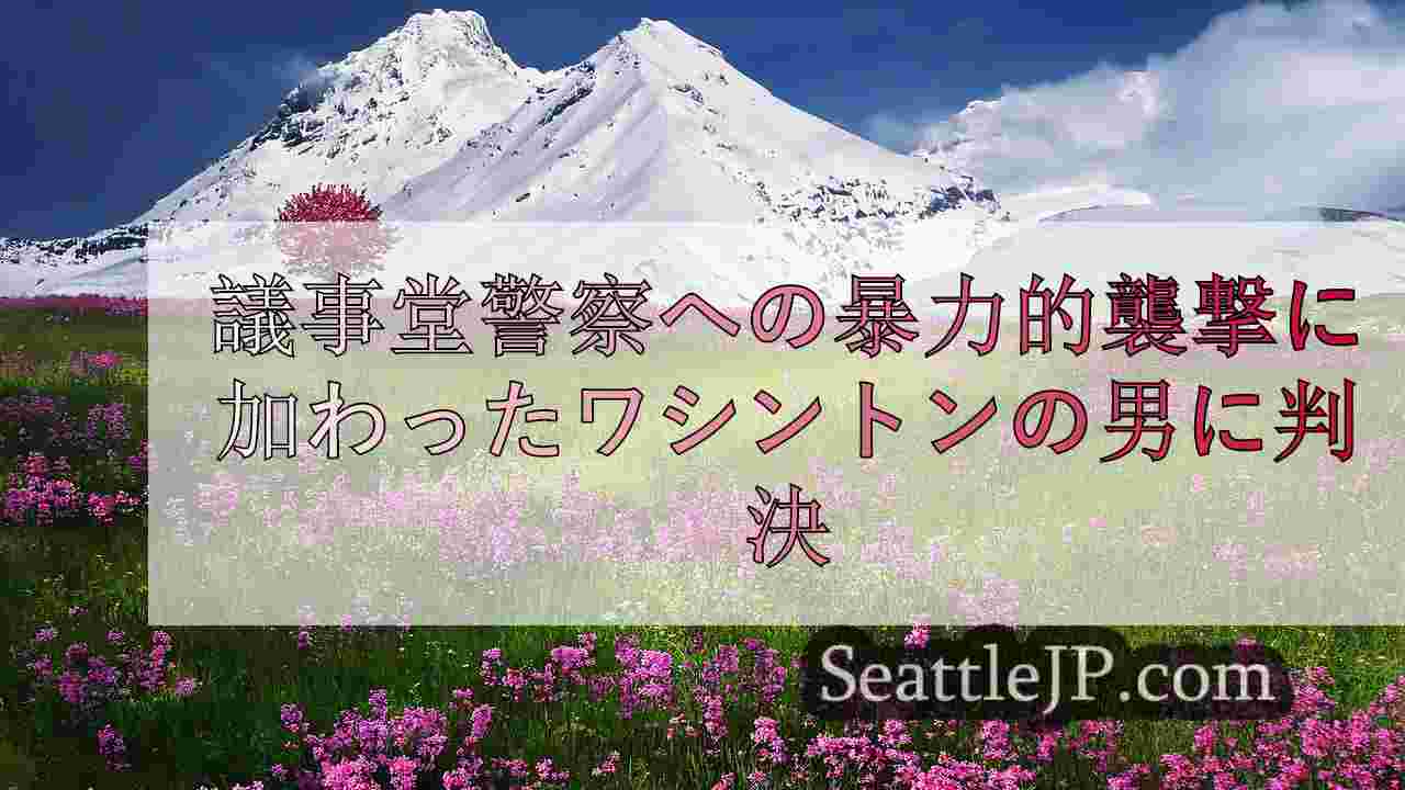 シアトルニュース SeattleJP