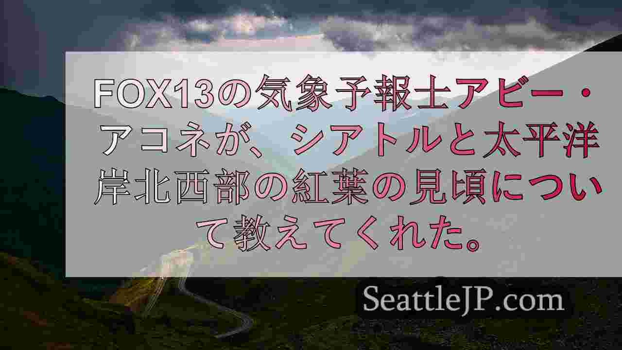 シアトルニュース SeattleJP