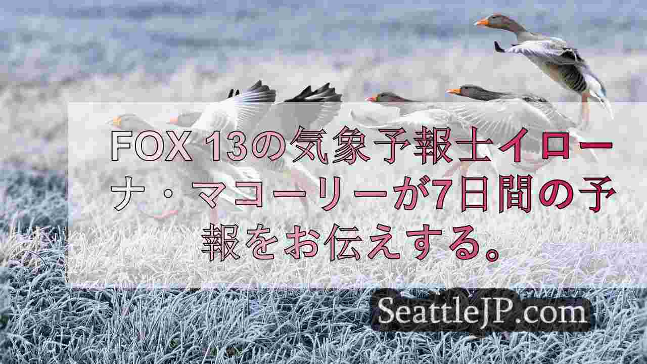 シアトルニュース SeattleJP